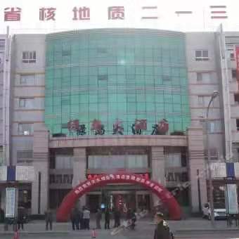 甘肃省核地质二一三大队 10部客梯 通力 /三菱